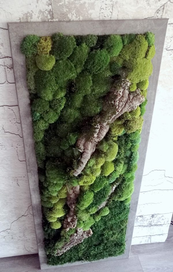 Zielony obraz z mchu stabilizowanego Forest