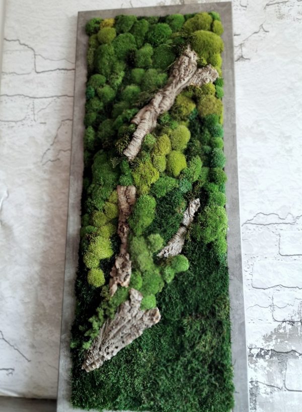 Zielony obraz z mchu stabilizowanego Forest