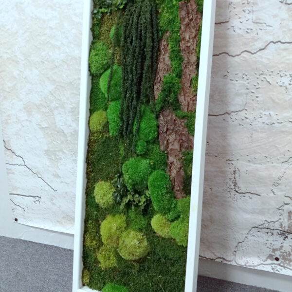 Obraz z mchów stabilizowanych typu forest 100 x 40 cm
